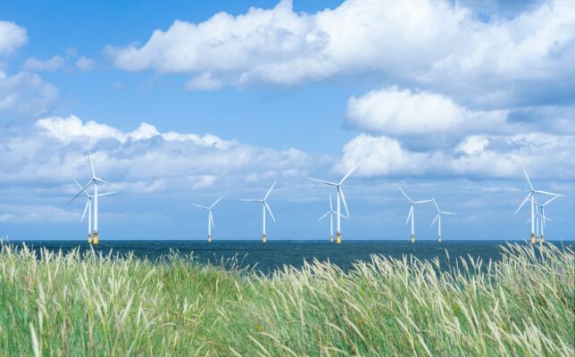 Wind energy, ahoy! Over 50 floating wind farms in planning worldwide