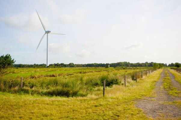New upswing for wind energy in Germany?