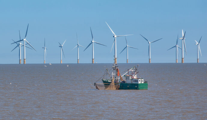 The blue-green alliance – Fish farms meet wind turbines