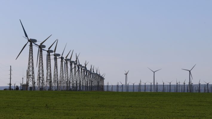 In the shadows of wind turbines – Exploring the wake effect