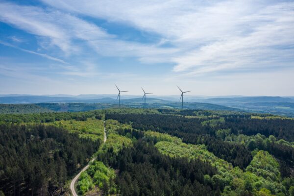 Winds in the woods – A new wind project to power over 22,700 homes in Germany