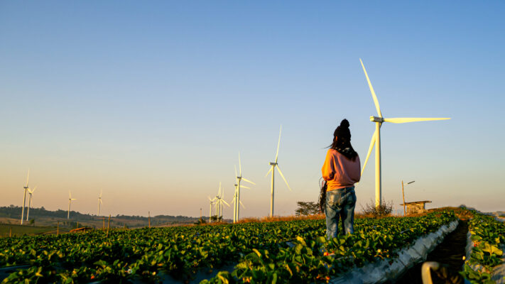 The green light for green energy – How Natura 2000 permit regulates wind energy