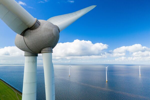 Leading the charge – Most notable wind farms of 2024