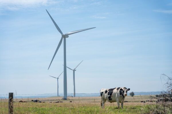Powering up – Australia’s biggest wind farm takes shape in Victoria